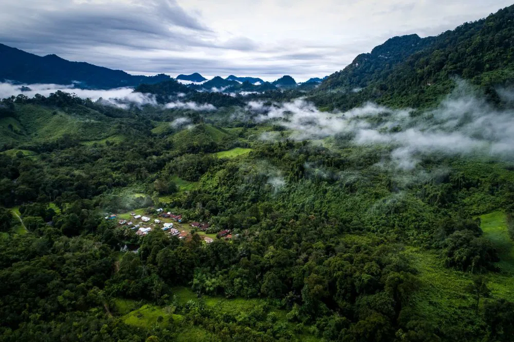 Aerial view of a dense forest landscape and nearby community