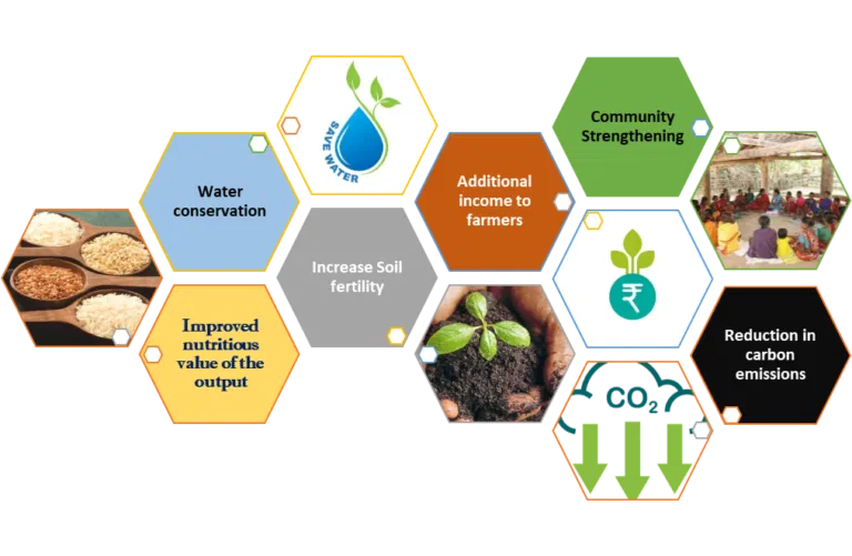Diagram showing the soil, water, farmer and climate benefits of biochar
